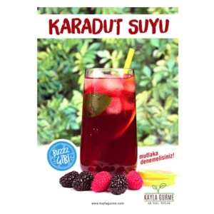 Karadut Suyu